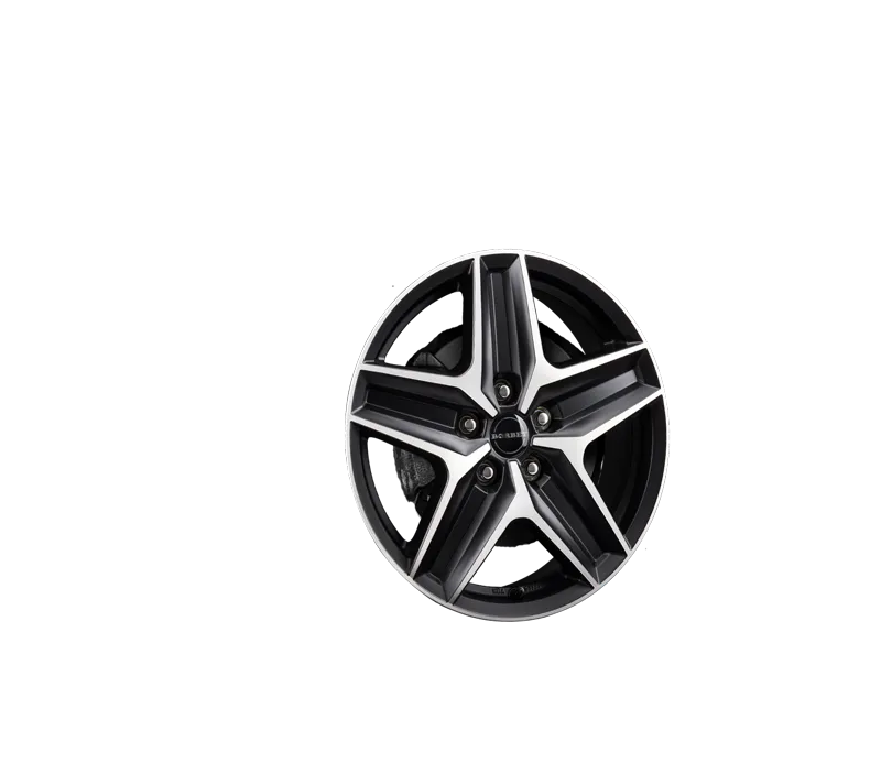 BORBET CWZ black pol. matt